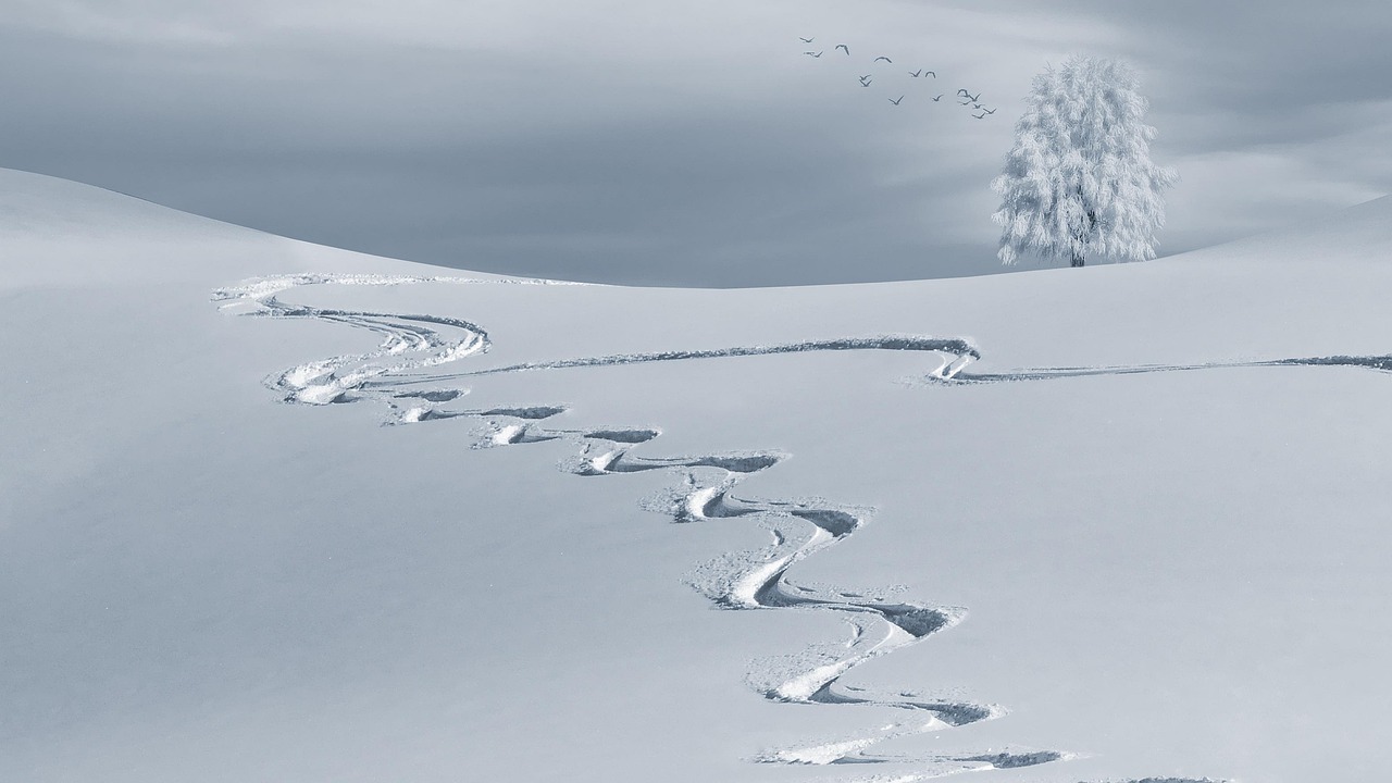 雪の日の車