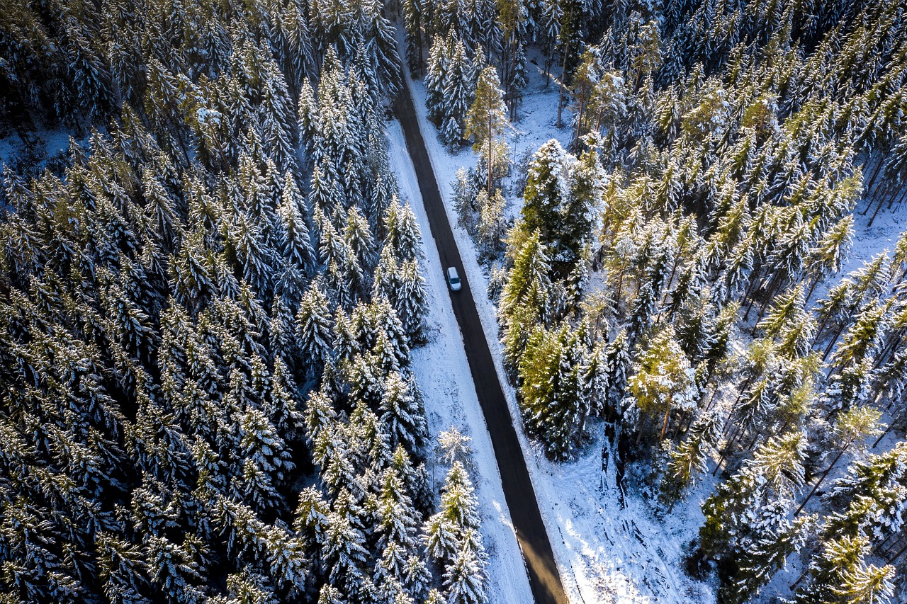 雪に覆われた森の中の道を走る車(俯瞰)